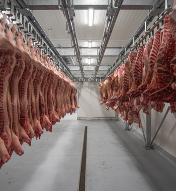 meat